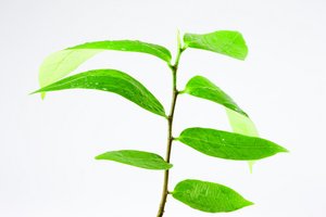 工具实战教程：手把手教你操作